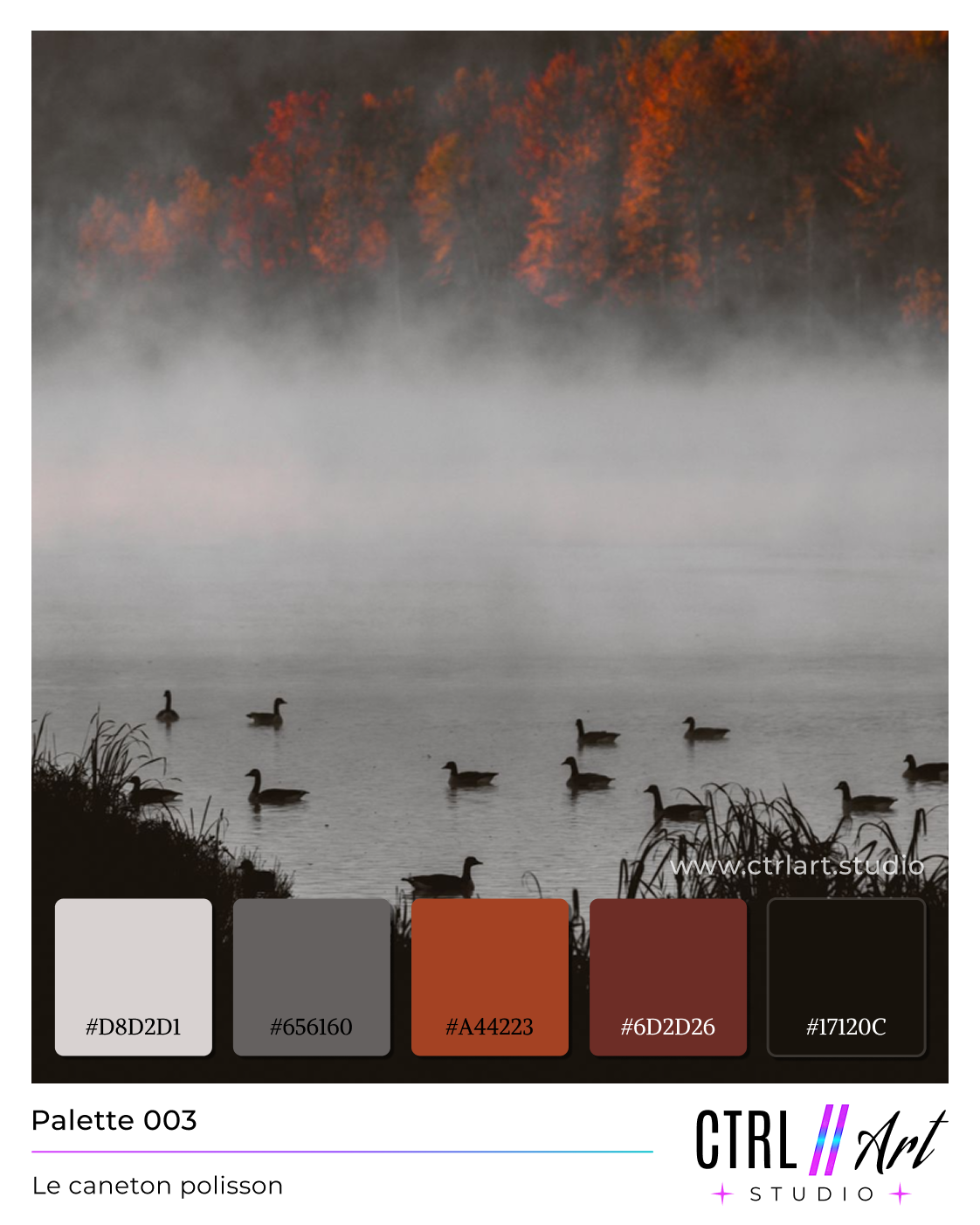 Palette 0003