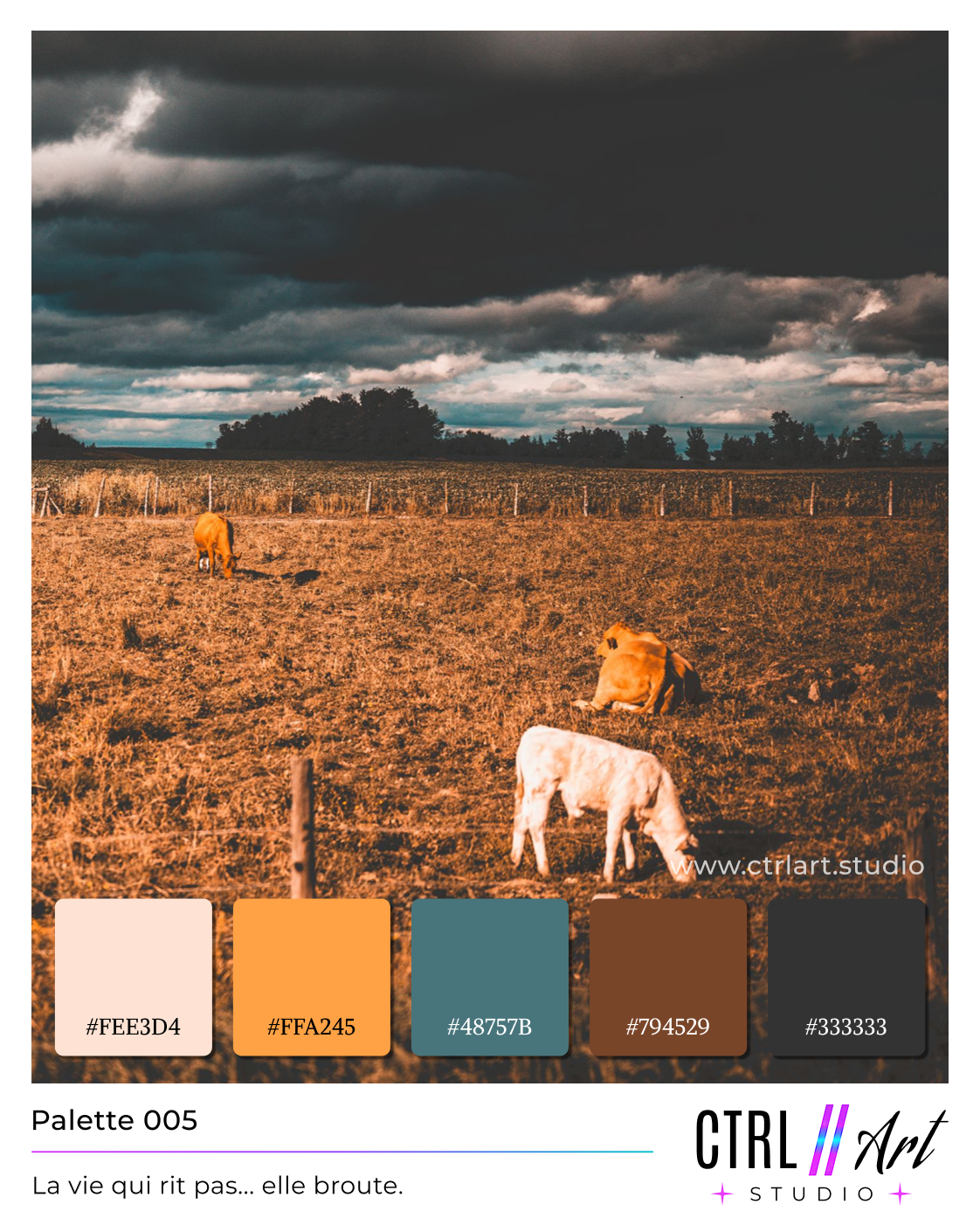 Palette 0005