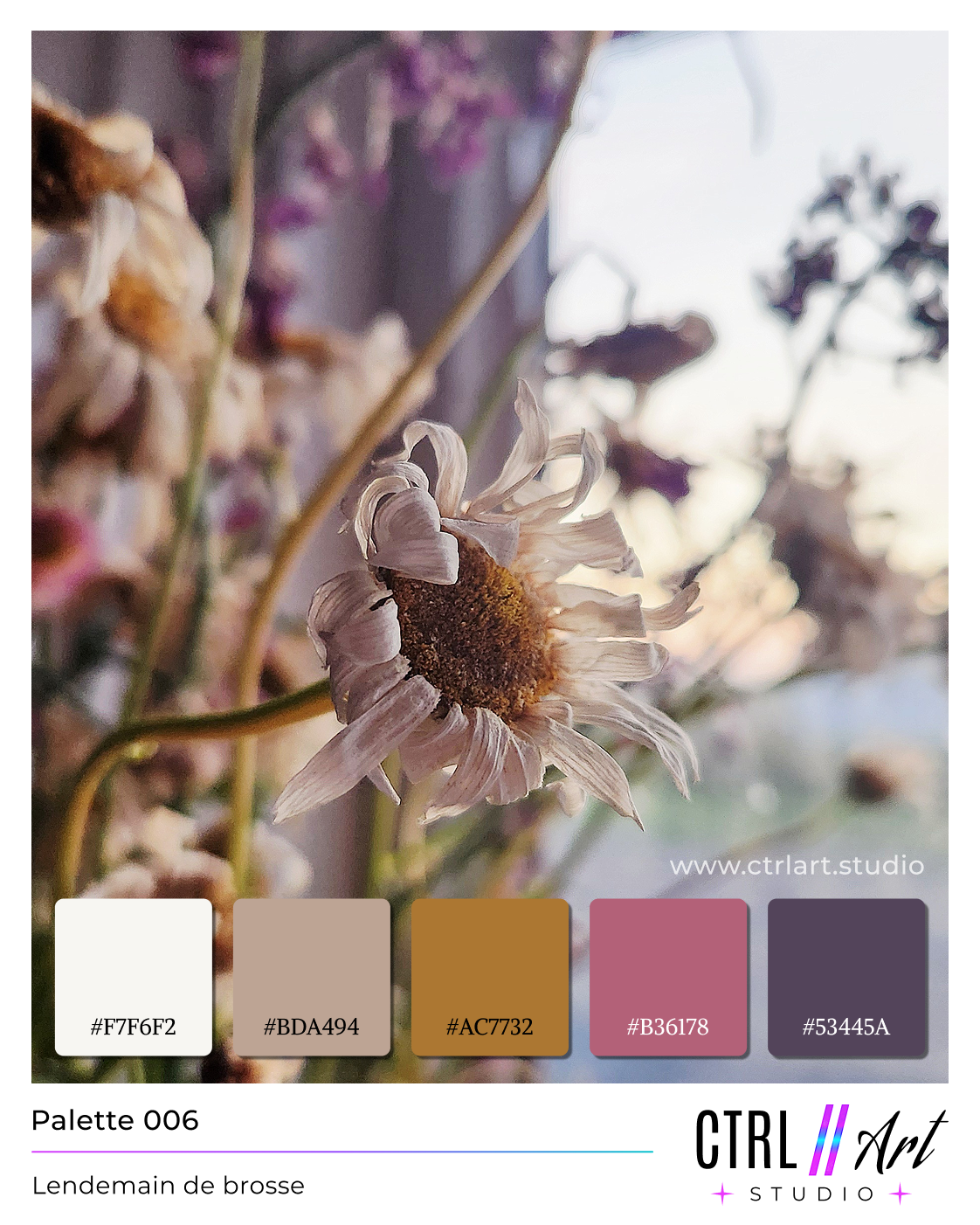 Palette 0006
